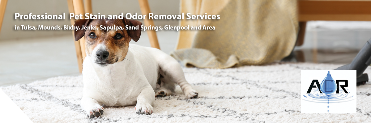 Anderson Cleaning and Restoration - Pet Stain and Odor Removal