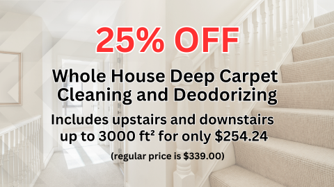 Whole House Deep Carpet Cleaning and Deodorizing